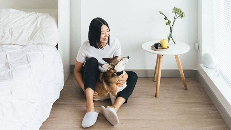 yêu đời không áp lực